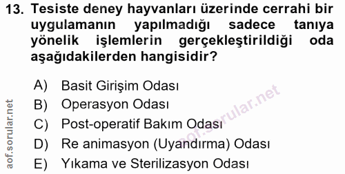 13. soru: Tesiste deney hayvanları üzerinde cerrahi bir uygulamanın yapılmadığı sadece tanıya yönelik işlemlerin gerçekleştiril…