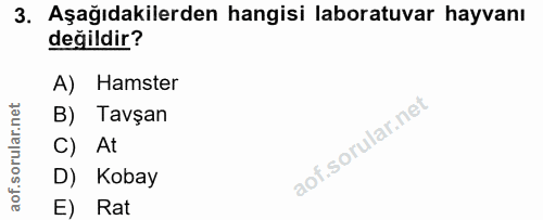 3. soru: Aşağıdakilerden hangisi laboratuvar hayvanı değildir? A) Hamster B) Tavşan C) At D) Kobay E) Rat