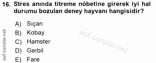 16. soru: Stres anında titreme nöbetine girerek iyi hal durumu bozulan deney hayvanı hangisidir? A) Sıçan B) Kobay C) Hamster D…