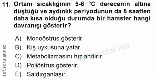 11. soru: Ortam sıcaklığının 5-6 °C derecenin altına düştüğü ve aydınlık periyodunun da 8 saatten daha kısa olduğu durumda bir…