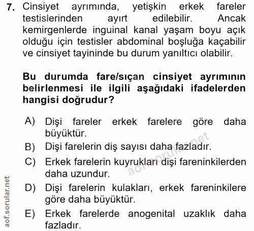 7. soru: Cinsiyet ayrımında, yetişkin erkek fareler testislerinden ayirt edilebilir. Ancak kemirgenlerde inguinal kanal yaşam…