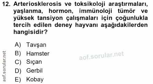12. soru: Arteriosklerosis ve toksikoloji araştırmaları, yaşlanma, hormon, immünoloji tümör ve yüksek tansiyon çalışmaları için…