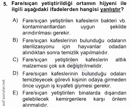 5. soru: Fare/sıçan yetiştirildiği ortamın hijyeni ile ilgili aşağıdaki ifadelerden hangisi yanlıştır? A) Fare/sıçan yetiştiri…