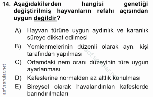 14. soru: Aşağıdakilerden hangisi genetiği değiştirilmiş hayvanların refahı açısından uygun değildir? A) Hayvan türüne uygun ay…