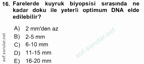 16. soru: Farelerde kuyruk biyopsisi sırasında ne kadar doku ile yeterli optimum DNA elde edilebilir? A) 2 mm'den az B) 2-5 mm…