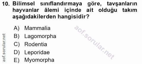 10. soru: Bilimsel sınıflandırmaya göre, tavşanların hayvanlar âlemi içinde ait olduğu takım aşağıdakilerden hangisidir? A) Mam…