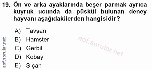 19. soru: Ön ve arka ayaklarında beşer parmak ayrıca kuyruk ucunda da püskül bulunan deney hayvanı aşağıdakilerden hangisidir?…
