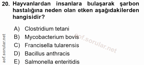 20. soru: Hayvanlardan insanlara bulaşarak şarbon hastalığına neden olan etken aşağıdakilerden hangisidir? A) Clostridium tetan…