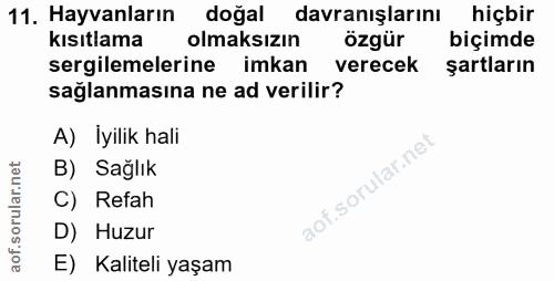 11. soru: Hayvanların doğal davranışlarını hiçbir kısıtlama olmaksızın özgür bıçımde sergilemelerine imkan verecek şartların sa…