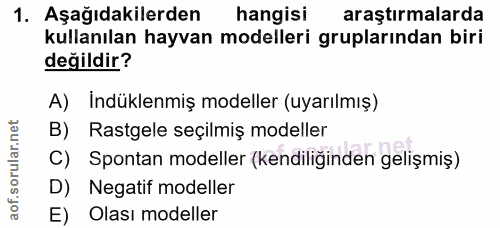 1. soru: Aşağıdakilerden hangisi araştırmalarda kullanılan hayvan modelleri gruplarından biri değildir? A) İndüklenmiş modelle…