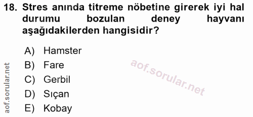 18. soru: Stres anında titreme nöbetine girerek iyi hal durumu bozulan deney hayvanı aşağıdakilerden hangisidir? A) Hamster B)…