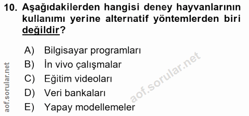 10. soru: Aşağıdakilerden hangisi deney hayvanlarının kullanımı yerine alternatif yöntemlerden biri değildir? A) Bilgisayar pro…