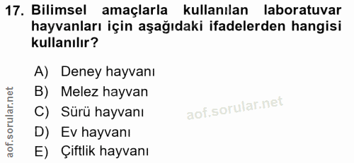 17. soru: Bilimsel amaçlarla kullanılan laboratuvar hayvanları için aşağıdaki ifadelerden hangisi kullanılır? A) Deney hayvanı…