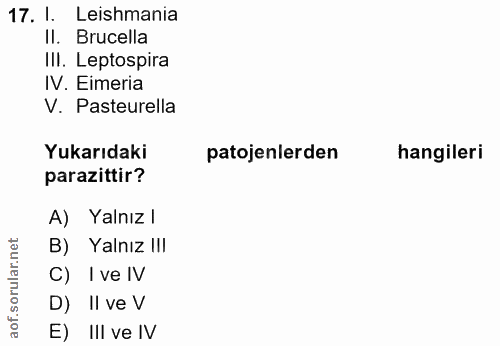 17. soru: I. Leishmania II. Brucella IlI. Leptospira IV. Eimeria V. Pasteurella Yukarıdaki patojenlerden hangileri parazittir?…