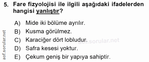 5. soru: Fare fizyolojisi ile ilgili aşağıdaki ifadelerden hangisi yanlıştır? A) Mide iki bölüme ayrılır. B) Kusma görülmez. C…