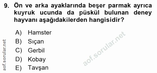 9. soru: Ön ve arka ayaklarında beşer parmak ayrıca kuyruk ucunda da püskül bulunan deney hayvanı aşağıdakilerden hangisidir?…