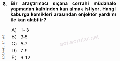 8. soru: Bir araştırmacı sıçana cerrahi müdahale yapmadan kalbinden kan almak istiyor. Hangi kaburga kemikleri arasından enjek…