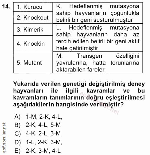 14. soru: 1. Kurucu K. Hedeflenmiş mutasyona sahip hayvanların çoğunlukla 2. Knockout belirli bir geni susturulmuştur 3. Kimeri…