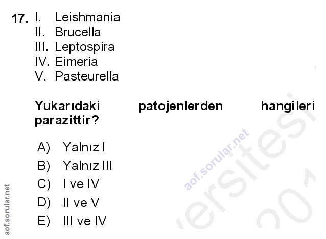 17. soru: 1. Leishmania Il. Brucella III. Leptospira IV. Eimeria V. Pasteurella Yukarıdaki patojenlerden hangileri parazittir?…