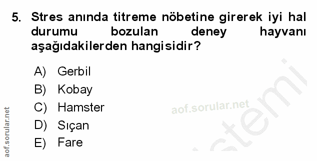 5. soru: Stres anında titreme nöbetine girerek iyi hal durumu bozulan deney hayvanı aşağıdakilerden hangisidir? A) Gerbil B) K…