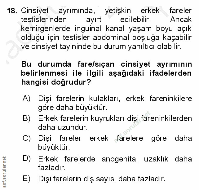 18. soru: Cinsiyet ayrımında, yetişkin erkek fareler testislerinden ayirt edilebilir. Ancak kemirgenlerde inguinal kanal yaşam…