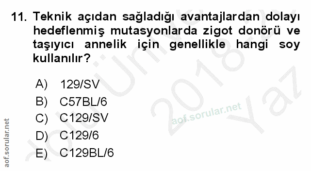 11. soru: Teknik açıdan sağladığı avantajlardan dolayı hedeflenmiş mutasyonlarda zigot donörü ve taşıyıcı annelik için genellik…