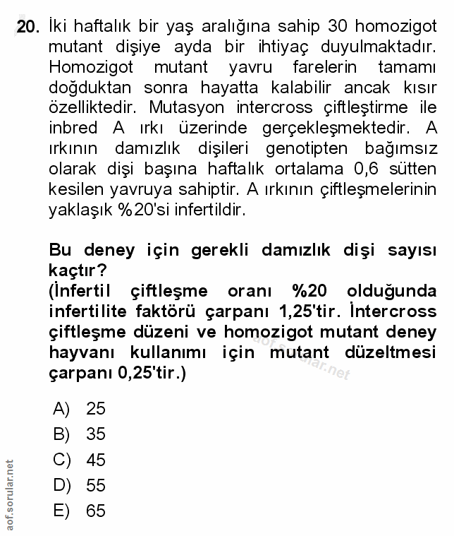 20. soru: Iki haftalık bir yaş aralığına sahip 30 homozigot mutant dişiye ayda bir ihtiyaç duyulmaktadır. Homozigot mutant yavr…