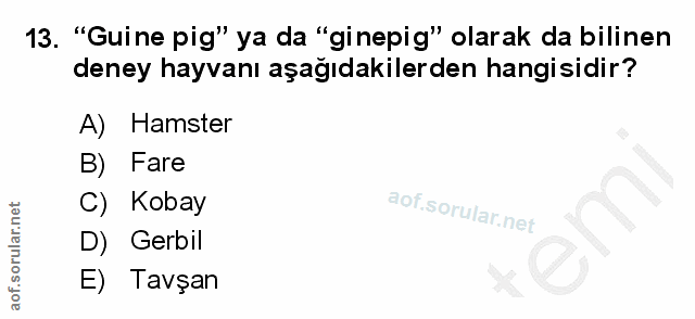 13. soru: "'Guine pig" ya da "ginepig" olarak da bilinen deney hayvanı aşağıdakilerden hangisidir? A) Hamster B) Fare C) Kobay…