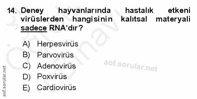 14. soru: Deney hayvanlarında hastalık etkeni virüslerden hangisinin kalıtsal materyali sadece RA'dır? A) Herpesvirüs B) Parvov…