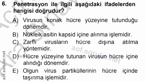 6. soru: Penetrasyon ile ilgili aşağıdaki ifadelerden hangisi doğrudur? A) Virusun konak hücre yüzeyine tutunduğu dönemdir. B)…