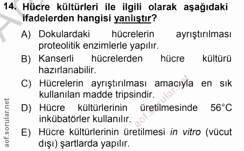 14. soru: Hücre kültürleri ile ilgili olarak aşağıdaki ifadelerden hangisi yanlıştır? A) Dokulardaki hücrelerin ayrıştırılması…
