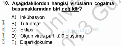 10. soru: Aşağıdakilerden hangisi virusların çoğalma basamaklarından biri değildir? A) İnkübasyon B) Tutunma C) Eklips het D) O…