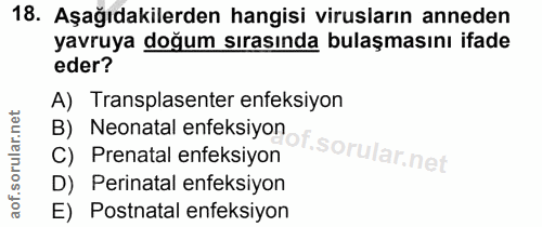 18. soru: Aşağıdakilerden hangisi virusların anneden yavruya doğum sırasında bulaşmasını ifade eder? A) Transplasenter enfeksiy…