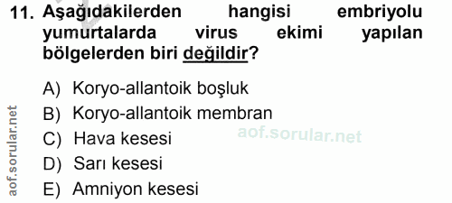 11. soru: Aşağıdakilerden hangisi embriyolu yumurtalarda virus ekimi yapılan bölgelerden biri değildir? A) Koryo-allantoik boşl…