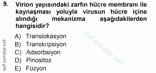 9. soru: Virion yapısındaki zarfın hücre membranı ile kaynaşması yoluyla virusun hücre içine alındığı mekanizma aşağıdakilerde…