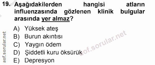 19. soru: Aşağıdakilerden hangisi atların influenzasında gözlenen klinik bulgular arasında yer almaz? A) Yüksek ateş B) Burun a…