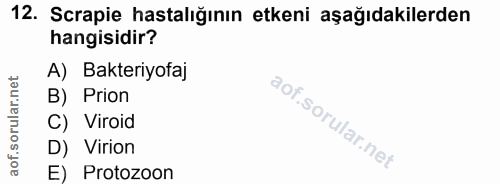 12. soru: Scrapie hastalığının etkeni aşağıdakilerden hangisidir? A) Bakteriyofaj B) Prion C) Viroid D) Virion E) Protozoon