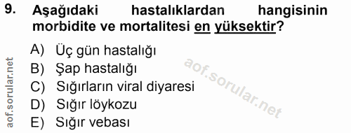 9. soru: Aşağıdaki hastalıklardan hangisinin morbidite ve mortalitesi en yüksektir? A) Uç gün hastalığı B) Şap hastalığı C) Sı…