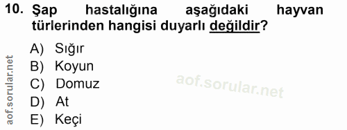 10. soru: Şap hastalığına aşağıdaki hayvan türlerinden hangisi duyarlı değildir? A) Sığır B) Koyun C) Domuz D) At E) Keçi