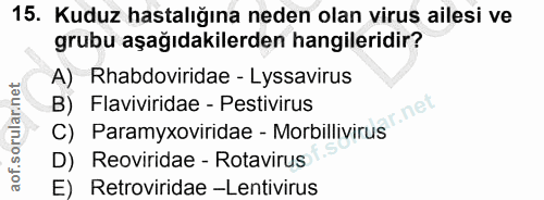 15. soru: Kuduz hastalığına neden olan virus ailesi ve grubu aşağıdakilerden hangileridir? A) Rhabdoviridae - Lyssavirus B) Par…