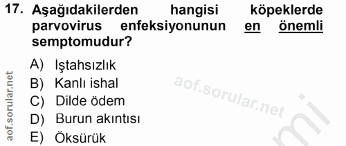 17. soru: Aşağıdakilerden hangisi köpeklerde parvovirus enfeksiyonunun en önemli semptomudur? A) Iştahsızlık B) Kanlı ishal C)…