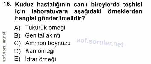 16. soru: Kuduz hastalığının canlı bireylerde teşhisi için laboratuvara aşağıdaki örneklerden hangisi gönderilmelidir? A) Tükür…
