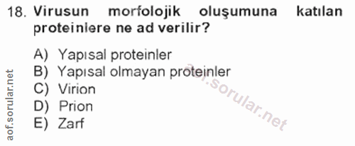 18. soru: Virusun morfolojik oluşumuna katılan proteiniere ne ad verilir? A) Yapısal proteinler B) Yapısal olmayan proteinler C…