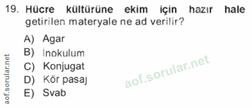 19. soru: Hücre kültürüne ekim için hazır hale getirilen materyale ne ad verilir? A) Agar B) Inokulum C) Konjugat D) Kör pasaj…