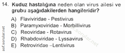 14. soru: Kuduz hastalığına neden olan virus ailesi ve grubu aşağıdakilerden hangileridir? A) Flaviviridae - Pestivirus B) Para…