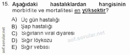 15. soru: Aşağıdaki hastalıklardan hangisinin morbidite ve mortalitesi en yüksektir? A) Uç gün hastalığı B) Şap hastalıgı C) Sı…