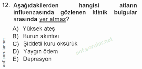 12. soru: Aşağıdakilerden hangisi atların influenzasında gözlenen klinik bulgular arasında yer almaz? A) Yüksek ateş B) Burun a…