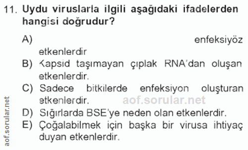 11. soru: Uydu viruslarla ilgili aşağıdaki ifadelerden hangisi doğrudur? A) enfeksiyöz etkenlerdir B) Kapsid taşımayan çıplak R…