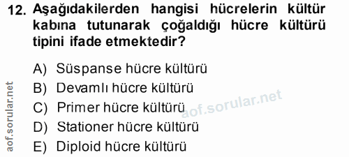 12. soru: Aşağıdakilerden hangisi hücrelerin kültür kabına tutunarak çoğaldığı hücre kültürü tipini ifade etmektedir? A) Süspan…