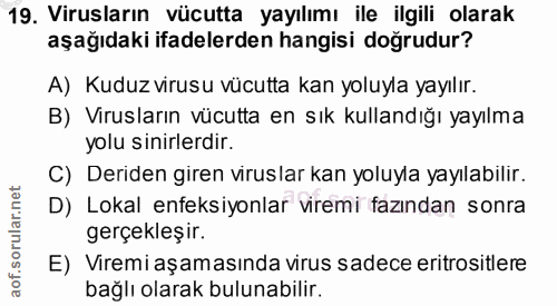 19. soru: Virusların vücutta yayılımı ile ilgili olarak aşağıdaki ifadelerden hangisi doğrudur? A) Kuduz virusu vücutta kan yol…